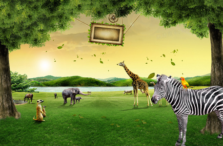 切入点读音：语言学习的精准钥匙