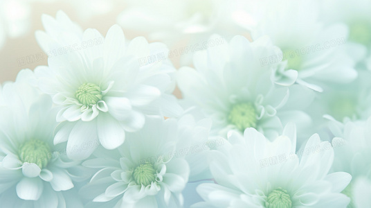 家族延续的时间公式：20代究竟意味着多少年？