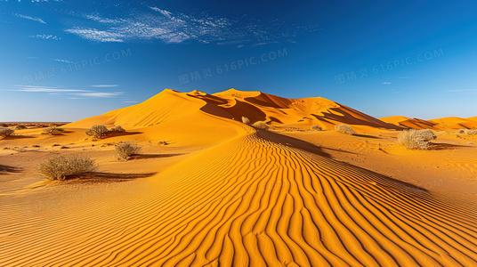 无需视觉的观影体验：揭秘盲人电影院的工作原理