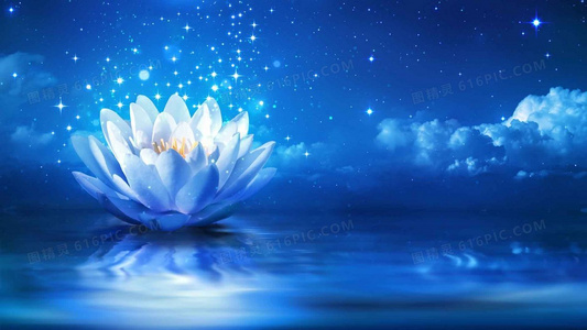 每周笑到胃疼！亏成首富动画追番指南：这些细节你发现了吗？