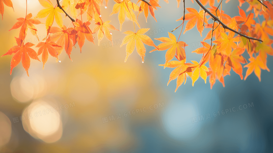 大刺客1967:张彻导演的武侠美学与国语对白解析