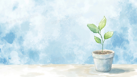 候选人谈话后续:反馈与关系维护的最佳实践