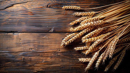 双星陨落:2024罪恶都市的共生与背叛