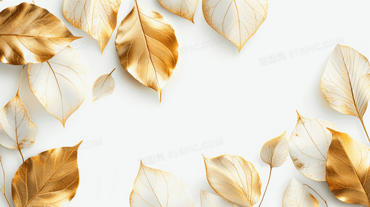 超越友谊的羁绊:偶像的秘密任务双男主情感层次深度解读