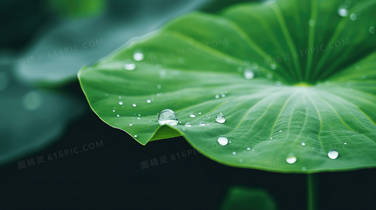 撕票风云全明星阵容盘点：任达华、苗侨伟领衔警匪对决