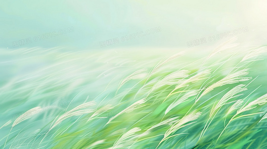 腐败解剖：新德里警方法医调查组