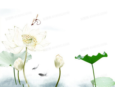 病毒爆发真相：零号之日完整版限时免费观看