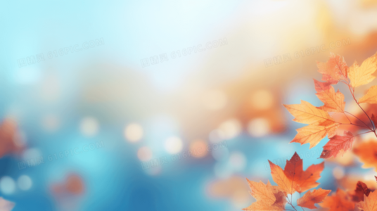 科技与正义:青蜂侠中的超级座驾“黑美人”