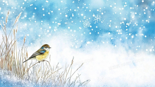 节日的灵魂：笛鼓乐队在民俗庆典中的角色