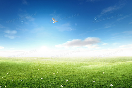 社区与关怀:首尔女孩的志愿服务网络