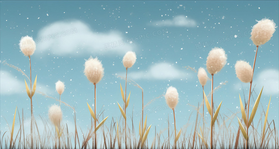 奥斯卡获奖短片超级无敌掌门狗:企鹅的复仇正版观看渠道