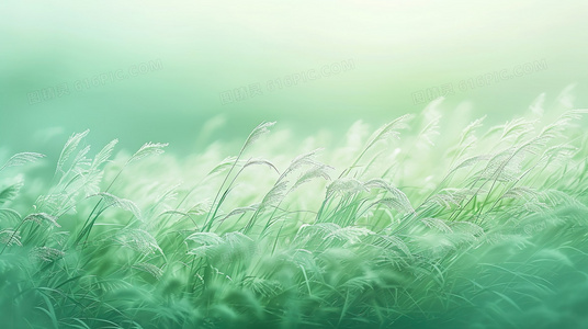 擦不掉的缘分!用橡皮擦书写爱正版免费观看合集