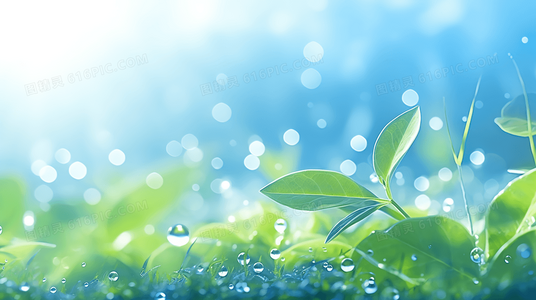 岸边的根:献给黄河的歌